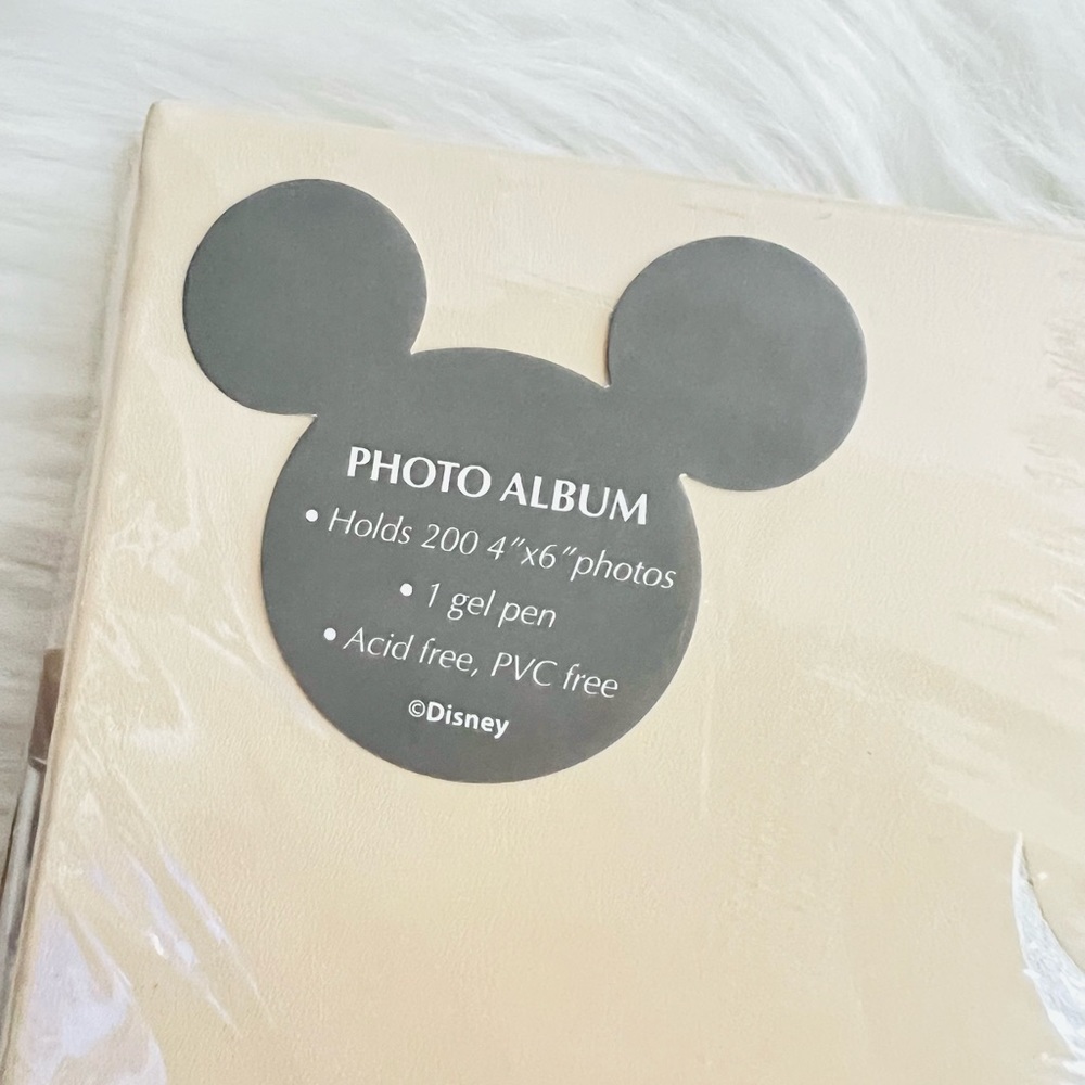 Disneyland Photo Album - Picture 6 of 6